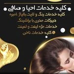 لوگوی سالن زیبایی بانو بیگی