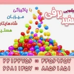 قالیشویی سفید برفی
