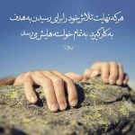 تصویر دکتر روانشناس ارزو شیخ زوج درمانگر