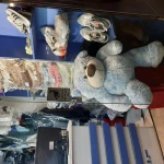  خشکشویی زاگرس نوین