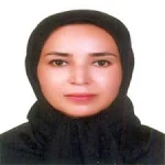 لوگوی دفتر وکالت مریم شکیبایی  وکیل جردن