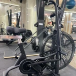 خدمات تخصصی رنگ ولایت نیلوفر و نگار