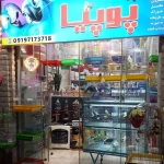 نمونه کار پت شاپ و ملزومات طوطی سانان پوپیا