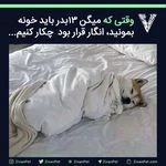 لوگوی پت شاپ ژیوان