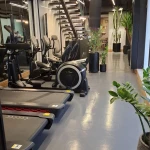 باشگاه ورزشی ماهر