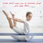  سالن و باشگاه ورزشی مهروز ساعی