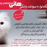 فروشگاه لوازم حیوانات خانگی هانی