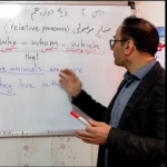 موسسه زبان بیستون