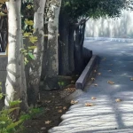 آموزشگاه نقاشی ایلیا