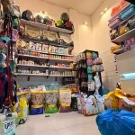 پت شاپ بلوبری