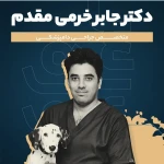 کلینیک دامپزشکی دنا