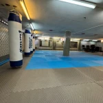 تصویر باشگاه هنر های رزمی zarefightclub
