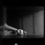  آتلیه عکاسی موندگار