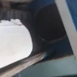 قالیشوی رویال