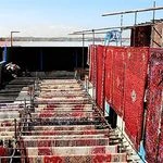 لوگوی قالیشویی عباس آباد