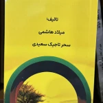 دکتر میلاد هاشمی (روانشناس و روان درمانگر)