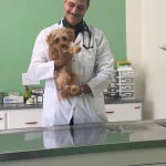 دامپزشک در منزل (محل) والیانی
