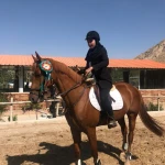  باشگاه سوارکاری سمند