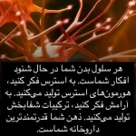 روانکاو  و زوج درمانگر دکتر محیااصغری