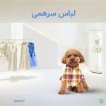 پت نت