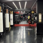 تصویر باشگاه تخصصی رزمی پانچ