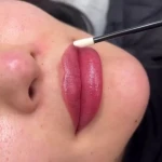 تصویر آرایش دائم میکرو بلیدینگ شیدینگ هانا