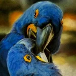 آموزشگاه هنری شاهکار