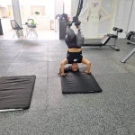  مربی بدنسازی، trx و کراسفیت خانم نیرومند