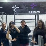 نمونه کار باشگاه ورزشی آساره