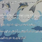 آموزش شنا ،کلاس های مادر و کودک با زینب