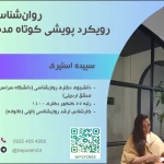 روان‌شناس فردی دکتر سپیده استیری (فردوس)
