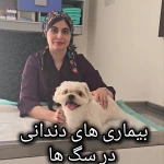 تصویر کلینیک دامپزشکی تریتامیرداماد