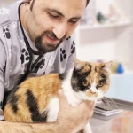 تصویر کلینیک دامپزشکی و پت شاپ رکس