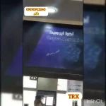 مجمومه ورزشی واستخر چهارفصل رازی