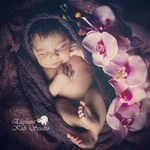 آتلیه تخصصی کودک و بارداری الفنتelephant