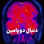 تصویر روانکاو  و زوج درمانگر دکتر محیااصغری