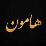 موسسه حقوقی و مشاور حقوقی هامون