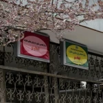 دکتر روانشناس مهدی زعیم زاده