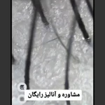 آرایشگاه زنانه و سالن زیبایی میترا