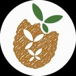 لوگوی کلینیک روانشناسی و روانپزشکی ژیکال