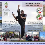 نمونه کار مربی کونگ فو