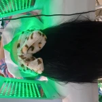  مژگان اسکین کرMojgan skincare