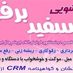 لوگوی قالیشویی سفید برفی