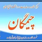 لوگوی مرکز مشاوره چیمیگان