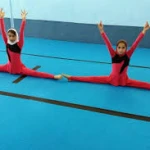  باشگاه ورزشی پارک وی