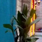 باشگاه ورزشی جردن