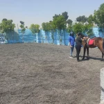  باشگاه سوارکاری راگا