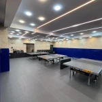 نمونه کار آکادمی پینگ پنگ آرپ