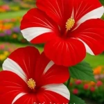 تصویر خدمات حقوقی نرگس عابدی