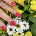 مرکز تخصصی کاشت و آموزش ناخن لادن